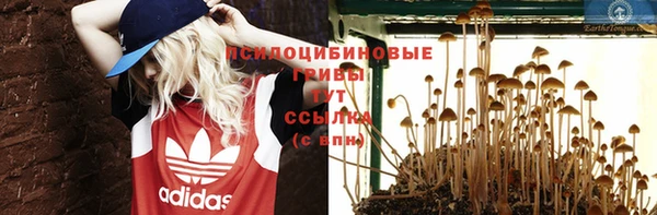 гидра Беломорск