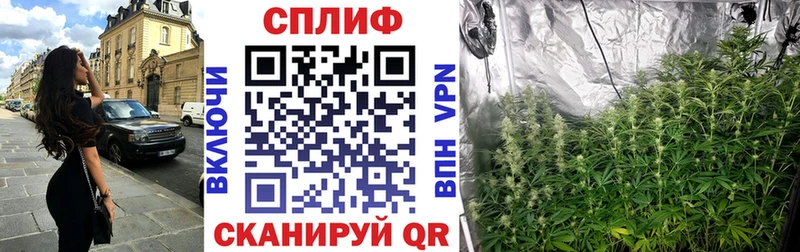 kraken как зайти  купить  цена  Купино  darknet как зайти  Канабис Amnesia 